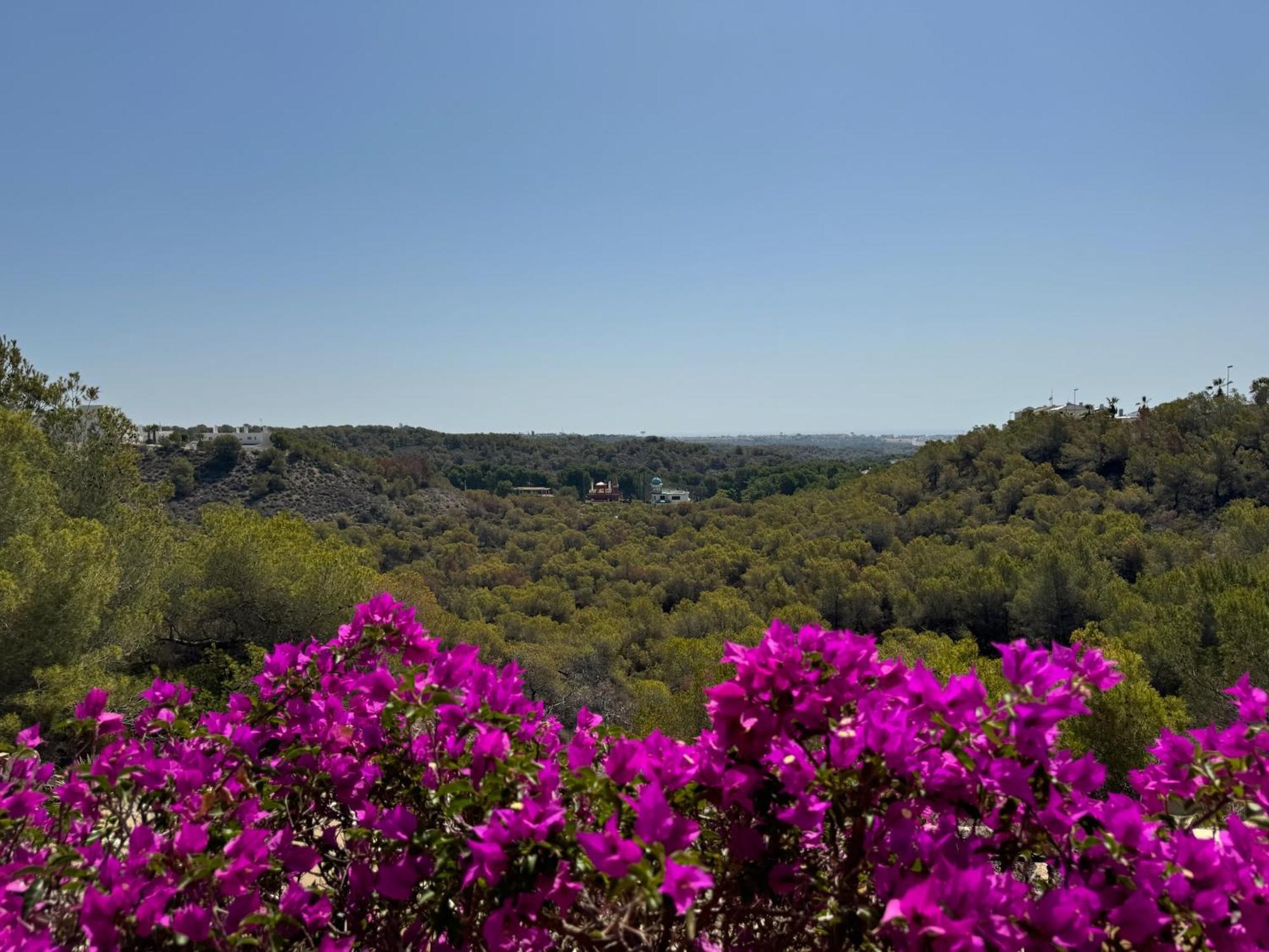 Orihuela - Las Ramblas - Casa Pino Dehesa de Campoamor  Екстериор снимка